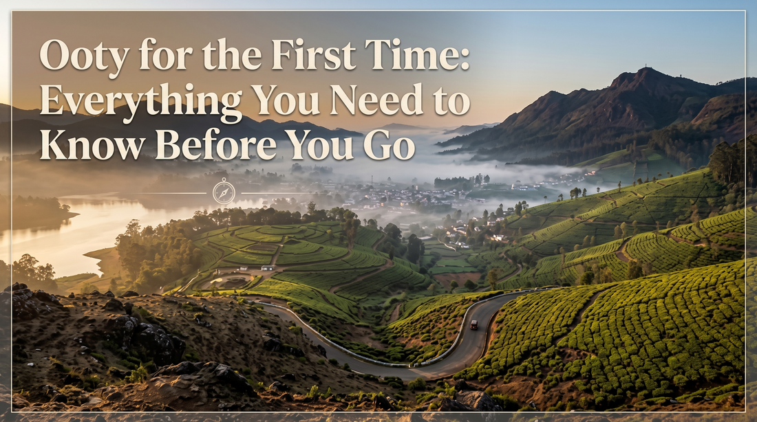 A scenic, fog-filled mountain landscape featuring terraced tea gardens and a winding road in Ooty at sunrise. Large text in the top left reads, "Ooty for the First Time: Everything You Need to Know Before You Go."