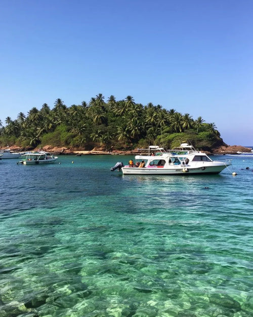 A scenic view of a white speedboat and a smaller boat floating on crystal-clear green water. A vibrant tropical hill dense with coconut palm trees rises in the background under a clear blue sky.
