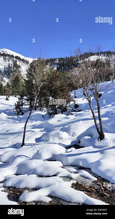 HIMACHAL - Your Gateway to Holiday Adventures -5N 6D -Shimla(02 Nights)-Manali(03 Nights)